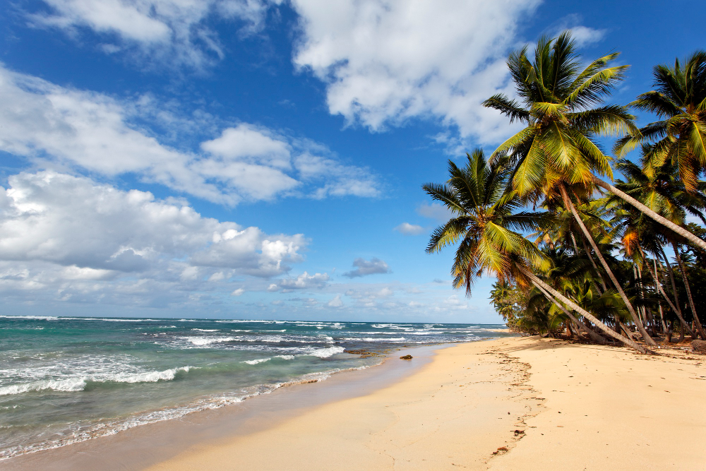 o-que-fazer-em-alagoas-guia-completo