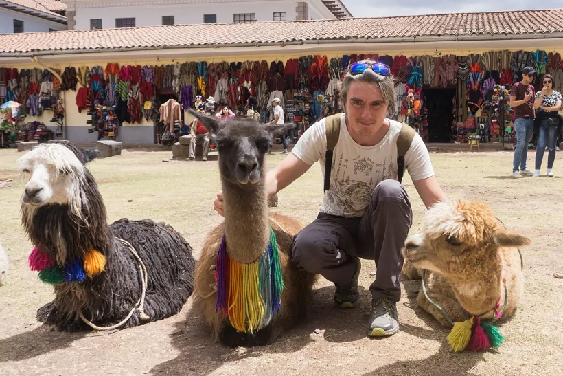 Alpacas e cultura andina