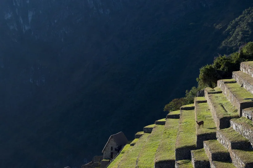 Machu Picchu nos Andes